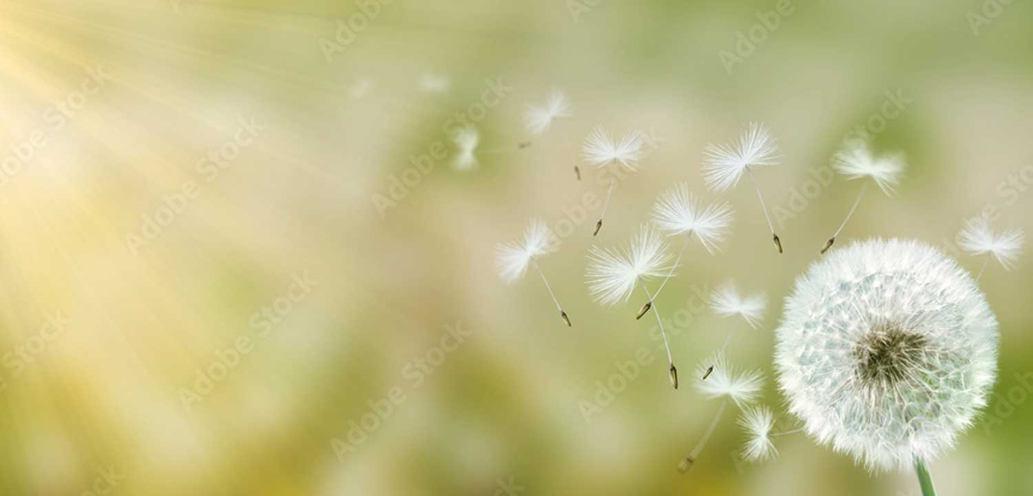 forsidebillede1